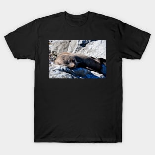 Phoque faisant la sieste sur un rocher T-Shirt